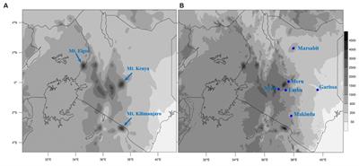 Implications of WRF model resolutions on resolving rainfall variability with topography over East Africa